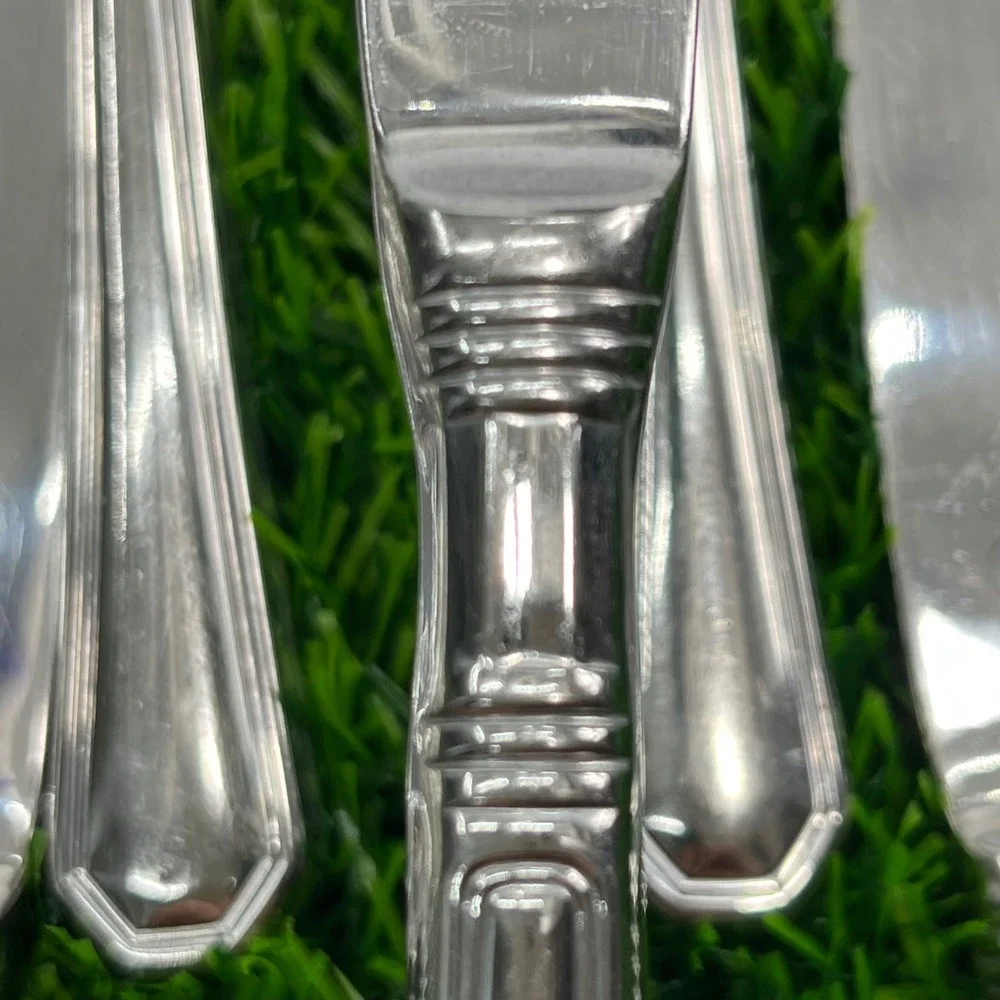 Pfaltzgraff Providence Stainless Steel Dinner Knives Set of 12 Silverware 9.25in